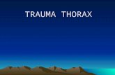 Trauma Thorax Bimbingan