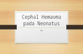 A4 - Cephal Hemaoma Pada Neonatus