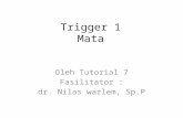 Trigger 1 Mata