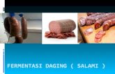 Fermentasi Daging ( Salami )