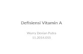 8. Penyuluhan Defisiensi Vitamin A