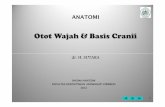 Otot Wajah & BC