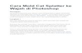 Cara Mold Cat Splatter Ke Wajah Di Photoshop