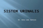 Sistem Urinalis,Slide