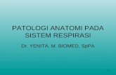 Kul Blok 3.3 2012patologi Anatomi Pada Sistem Respirasi.ppt