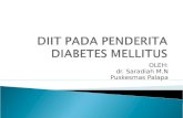 Diet Pada Penderita Diabetes Mellitus