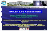 Boiler life assessment.pdf