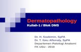 DMS. K12. Dermatopathology