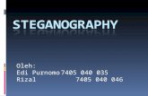 Steganography 222
