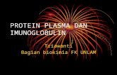 Protein Plasma