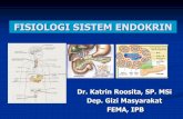 Fisiologi Sistem Endokrin 2014