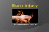 Burn Injury ppt