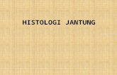 Histologi Jantung.pptx