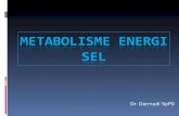 b.metab Energi Sel 03-04-09