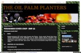 The Oil Palm Planters- Penanaman Cover Crop - Bmp (5)