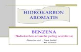 Hidrokarbon Aromatis