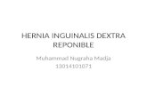 Hernia Inguinalis Dextra Reponible