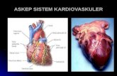 Askep Sistem Kardiovaskuler 2008