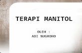 TERAPI MANITOL