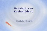 Metabolisme KH (ok).ppt