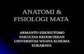 1. Anatomi Mata & Orbita