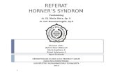 Horner’s Syndrom