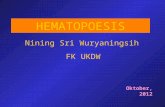 10. Hematopoesis -ukdw