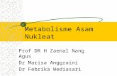 Asam Nukleat & Kromatin-BMS 1