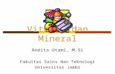 Vitamin Dan Mineral (Biokimia 2)