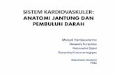 SISTEM KARDIOVASKULER-ANATOMI 2013.pdf