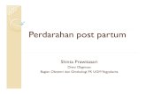 Perdarahan Post Partum Dr.shinta Sp.og
