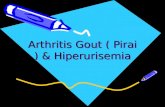 Arthritis Gout(Tugas Famakoterapi II) jj