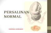 k11 - Persalinan Normal