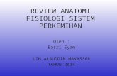 Review Antomi Fisiologi Ginjal (2)
