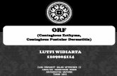 1209005114 Lutfi Widiarta Orf