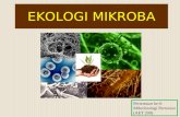 Materi 6 Ekologi Mikroba