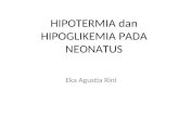 Kp 1.6.13 Hipotermia Dan Hipoglikemia Pada Bbl