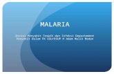 K24. Malaria