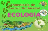 Ing Control Ambiental Sesion 4