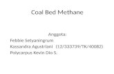 Coal Bed