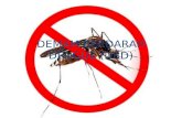 Demam Berdarah Dengue Dbd Fix