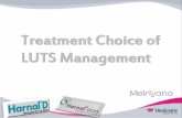 SLIDE HARNALTreatment Choice of LUTS Management-For DSM