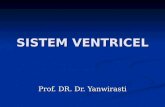 3 Sistem Ventricel
