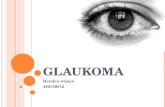 Glaukoma hendra wijaya