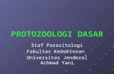 Protozoologi Dasar