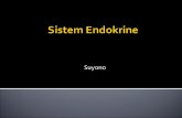 Sistem Endokrine