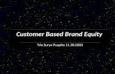 Customer Based Brand Equity.ppt