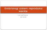 Embriologi Sistem Reproduksi Wanita