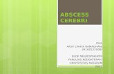 Abscess Cerebri - Presentation