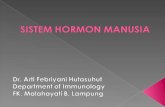 Sistem Hormon Manusia